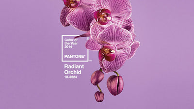Springing into 2014 with Radiant Orchid